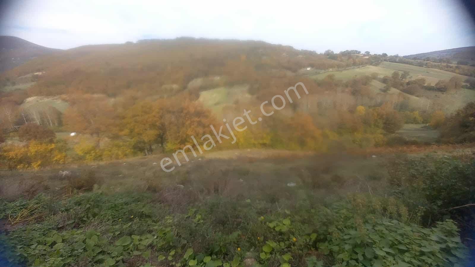 Atakum Akalan'da 3670 M2 Resmi Yola Cephe Doğa Manzaralı Tarla - Görsel 7