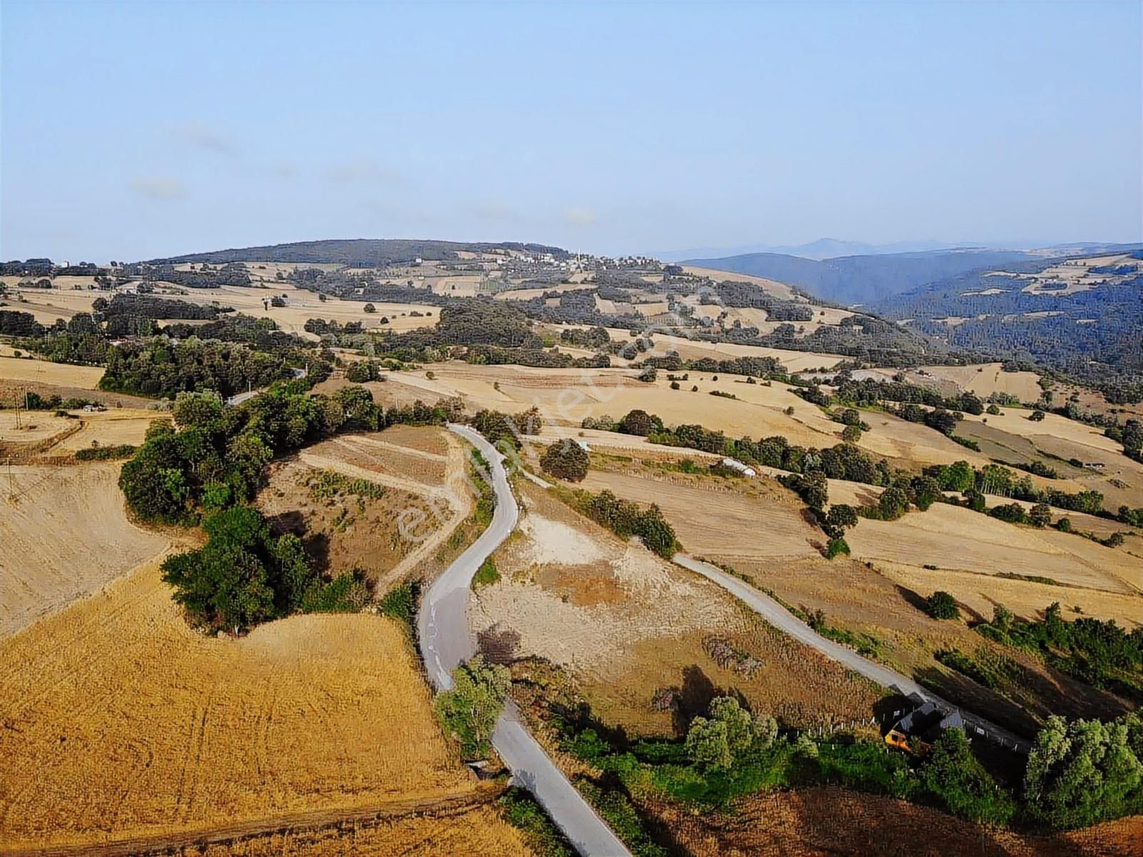Akalanda Yerleşim Alanı İçinde 2 Cephesi Yol 3890 Tarla - Görsel 7