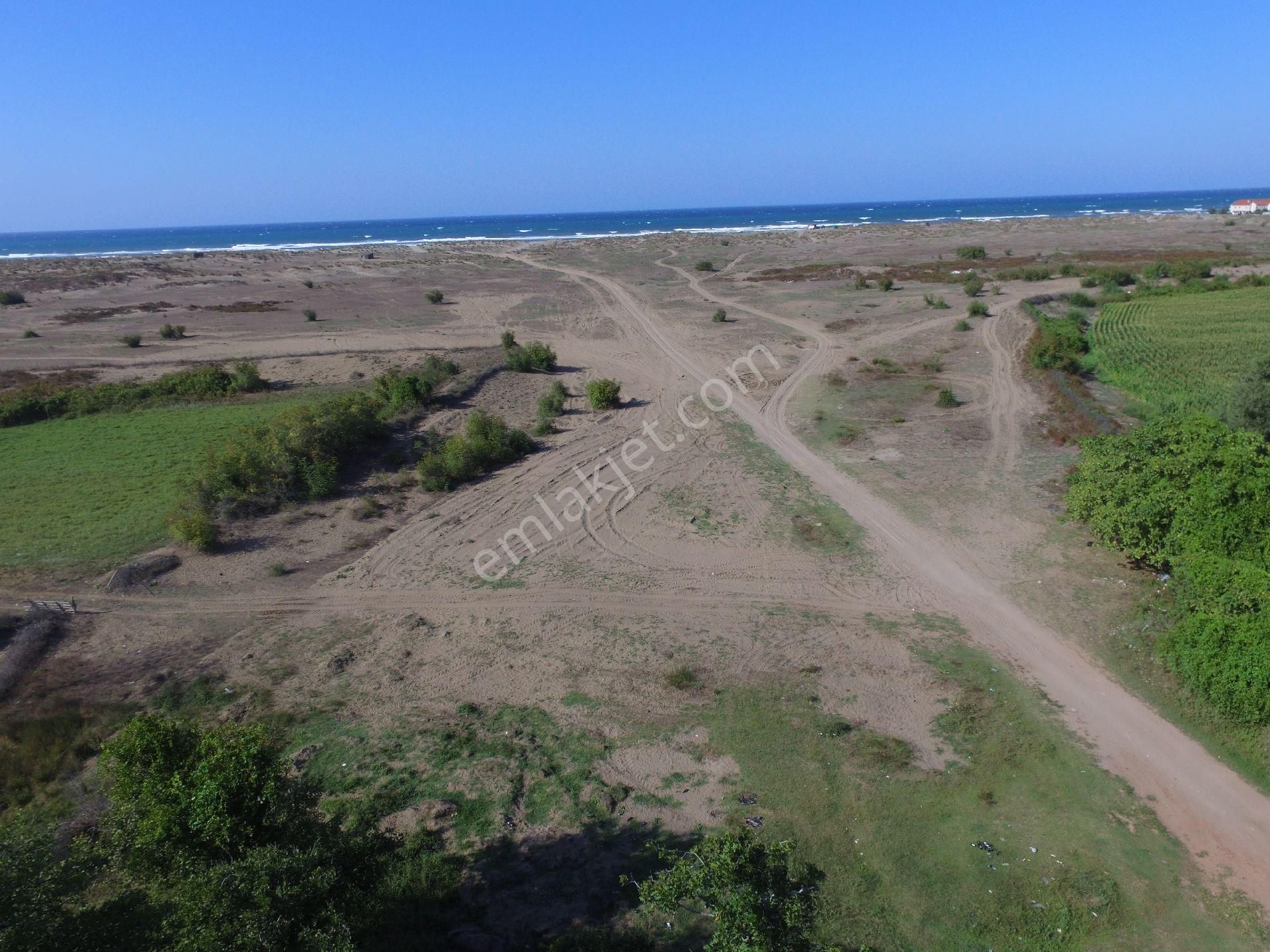 Karasu Denizköy’de 4663 M² Satılık Arsa – Denize 600 M – Turizm Yatırımına Uygun - Görsel 6