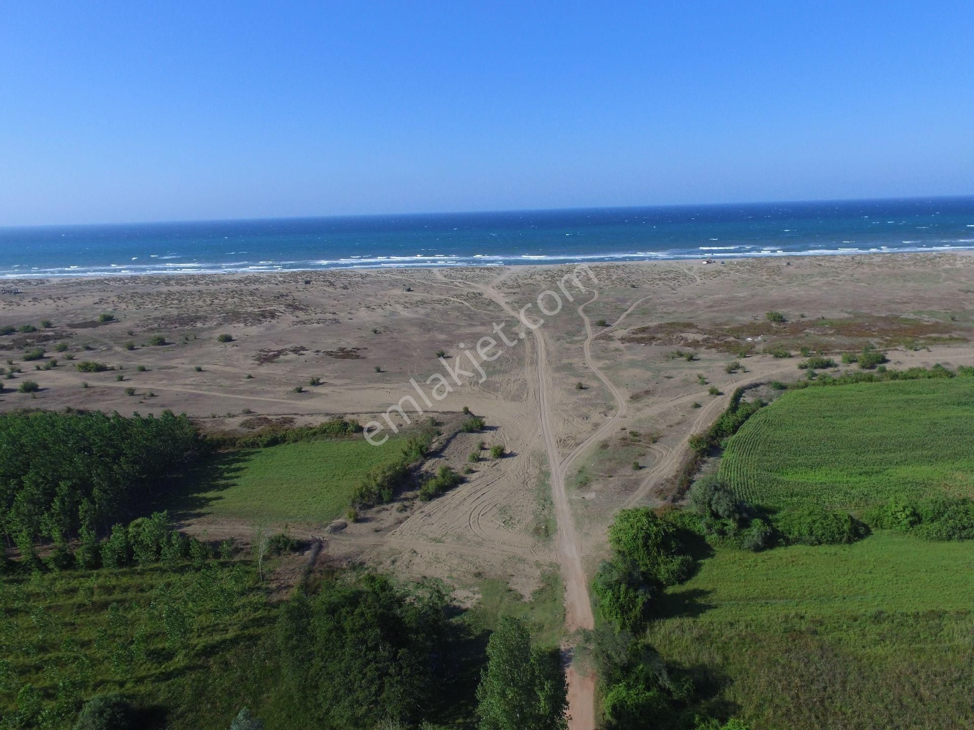 Karasu Denizköy’de 4663 M² Satılık Arsa – Denize 600 M – Turizm Yatırımına Uygun - Görsel 4