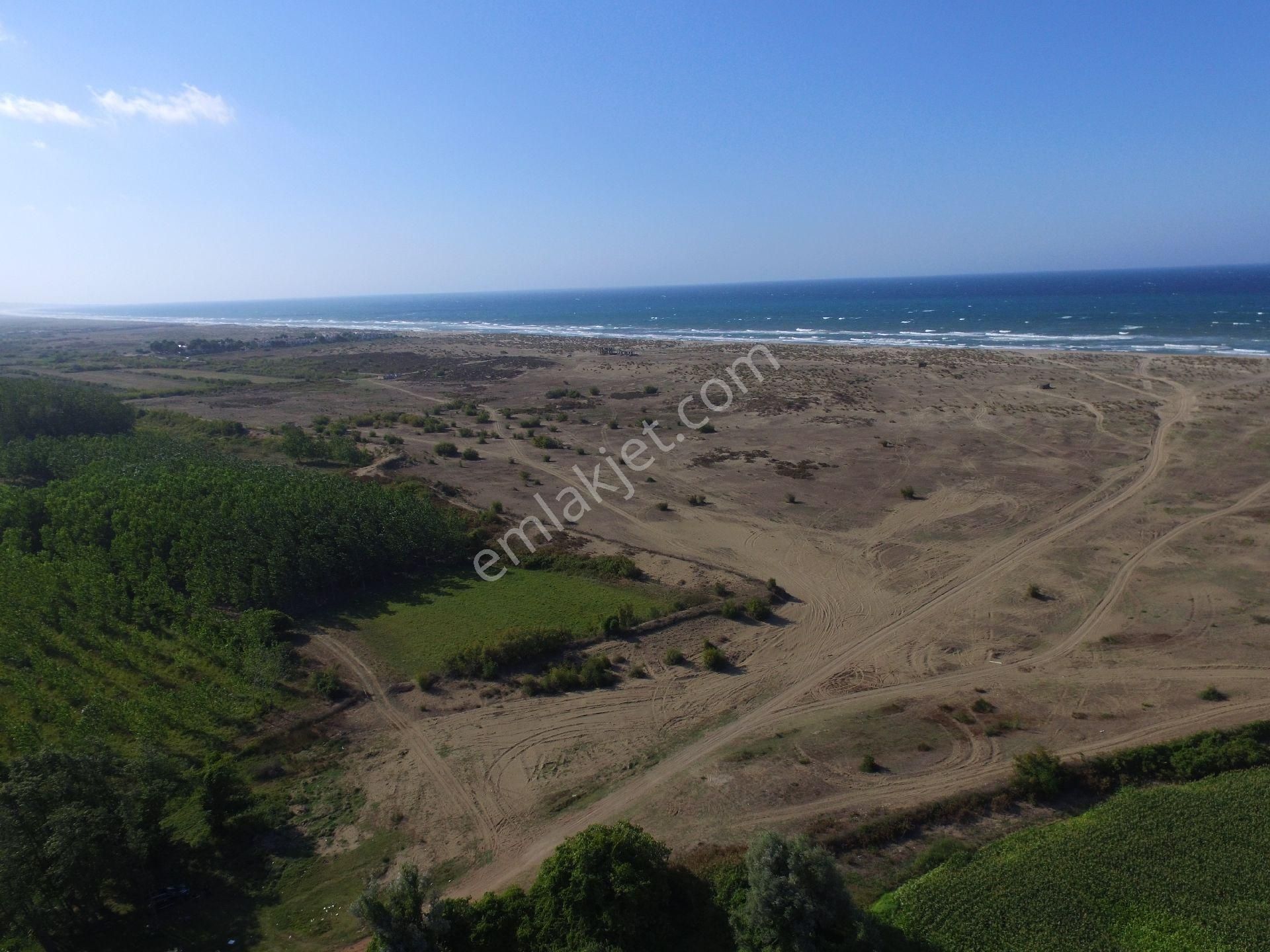 Karasu Denizköy’de 4663 M² Satılık Arsa – Denize 600 M – Turizm Yatırımına Uygun - Görsel 3