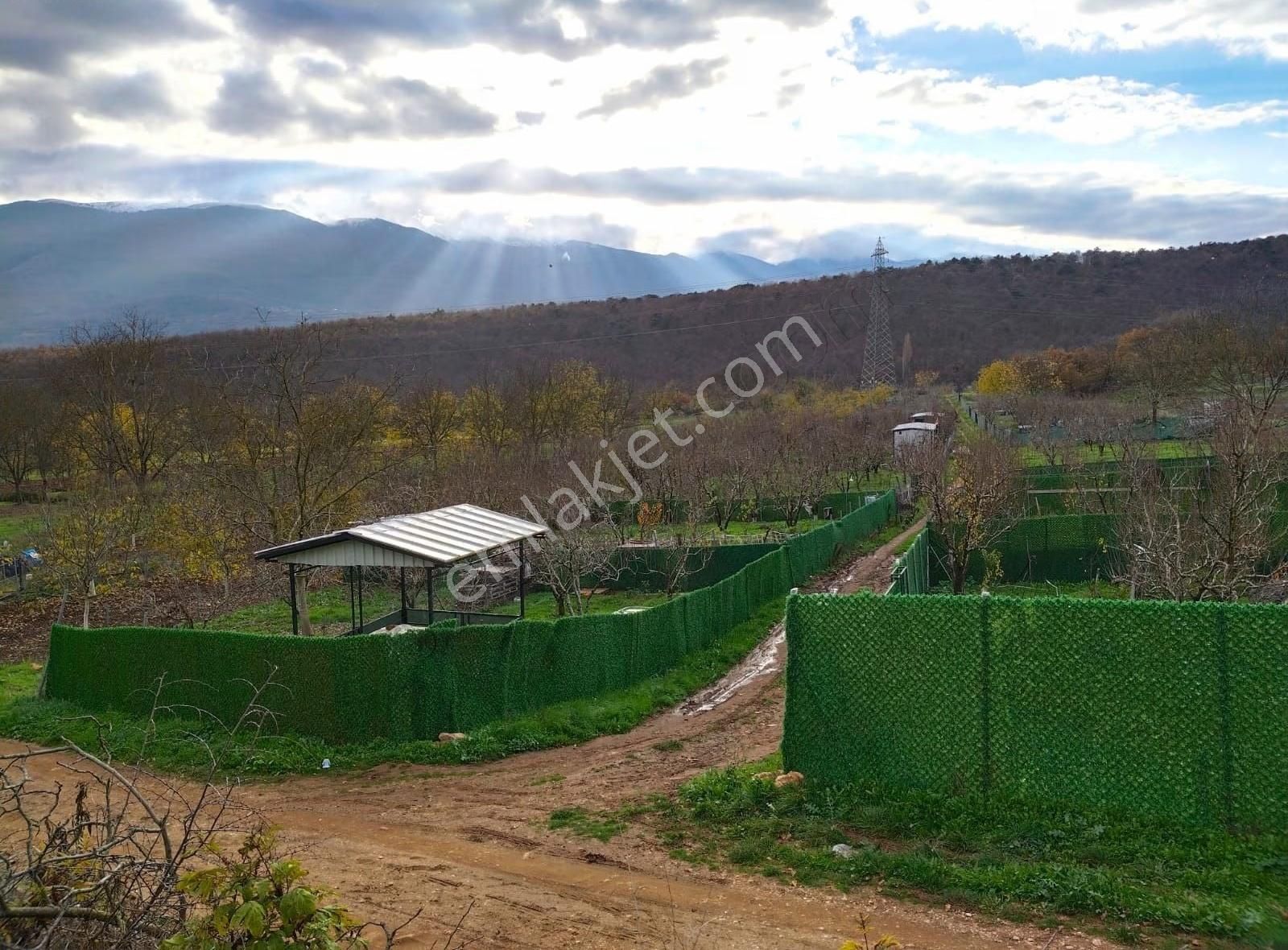 İpekyolu Yapı Emlak'tan Satılık Kooperatif Hisseli - Görsel 6