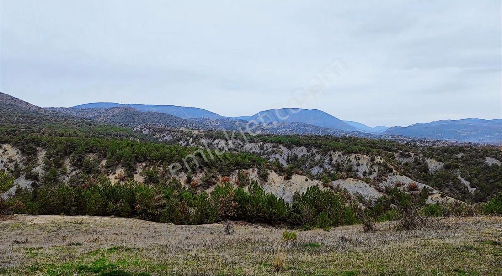 Göynük Karaardıç Köyünde İmar Sınırları İçerisinde 4639 M2 Arazi - Görsel 11