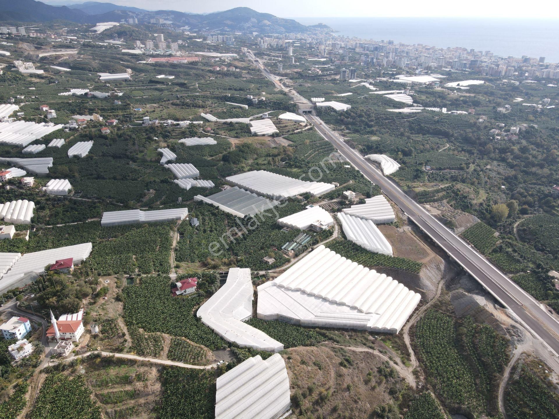 Satılık Tarla Hisse Ve Pay Satışları