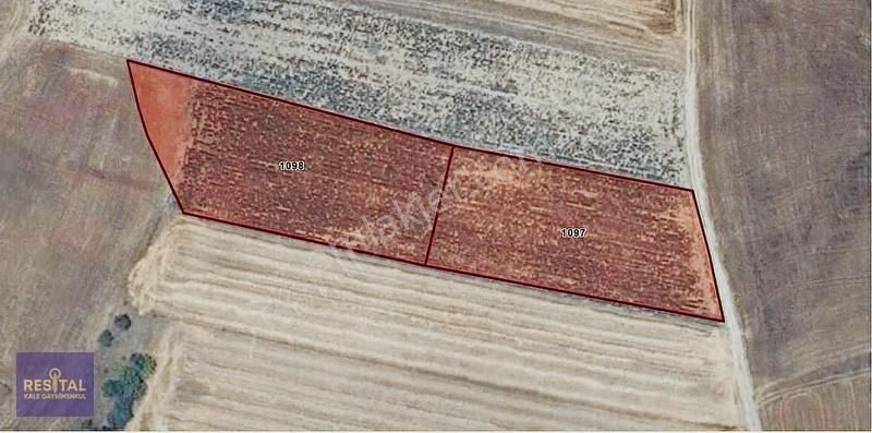 Bursa Karacabey Harmanlıda Satılık 6500 M2 Müstakil Tapulu Tarla - Görsel 2