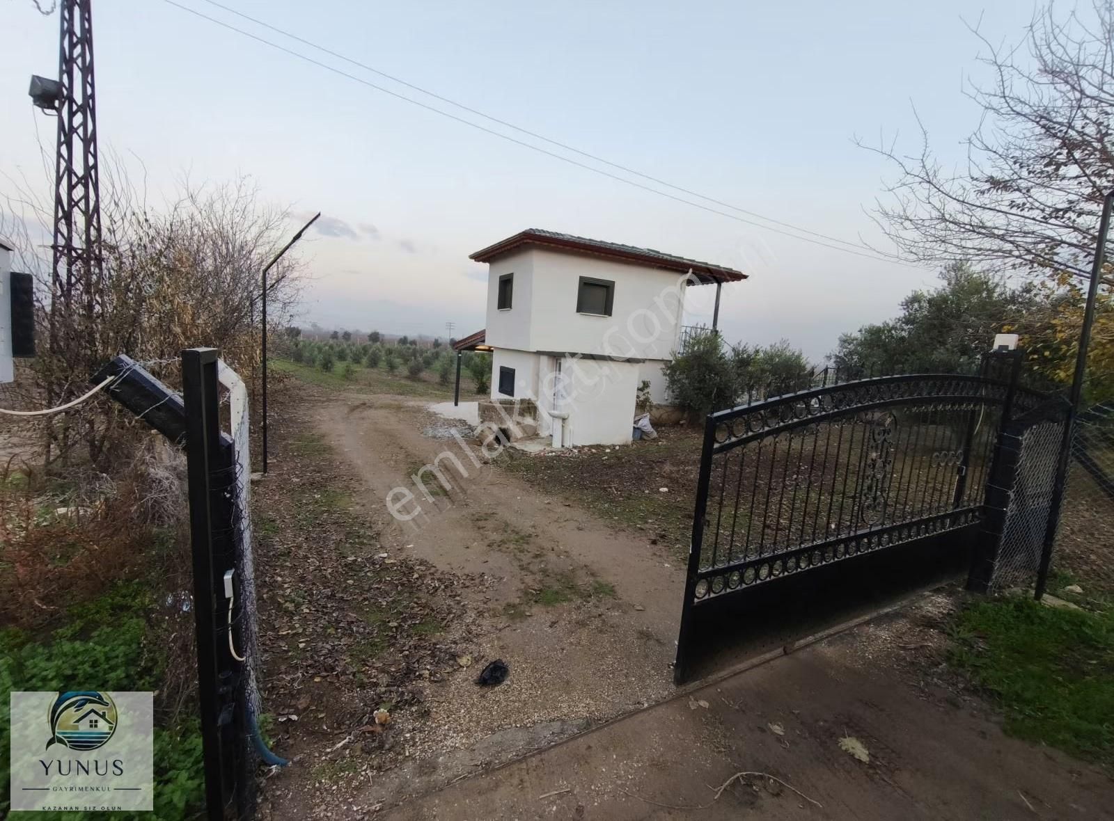 Yunus'tan Alaşehir Çakırcaali Mahallesi'nde Satılık Zeytinlik. - Görsel 14