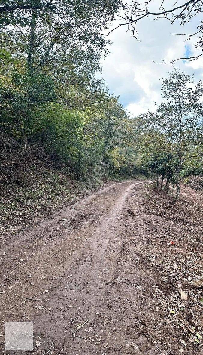 Gebze Ovacık Köyü Satılık Ahşap Ev - Görsel 10