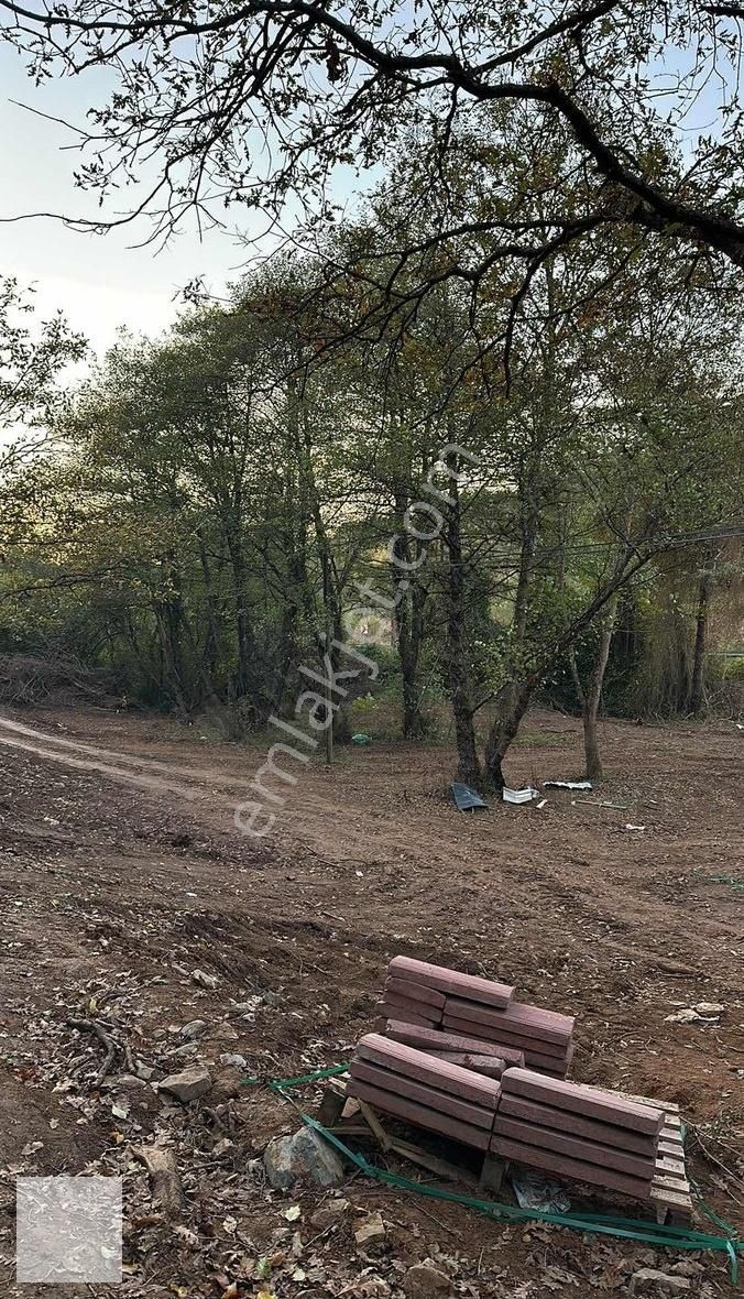 Gebze Ovacık Köyü Satılık Ahşap Ev - Görsel 19