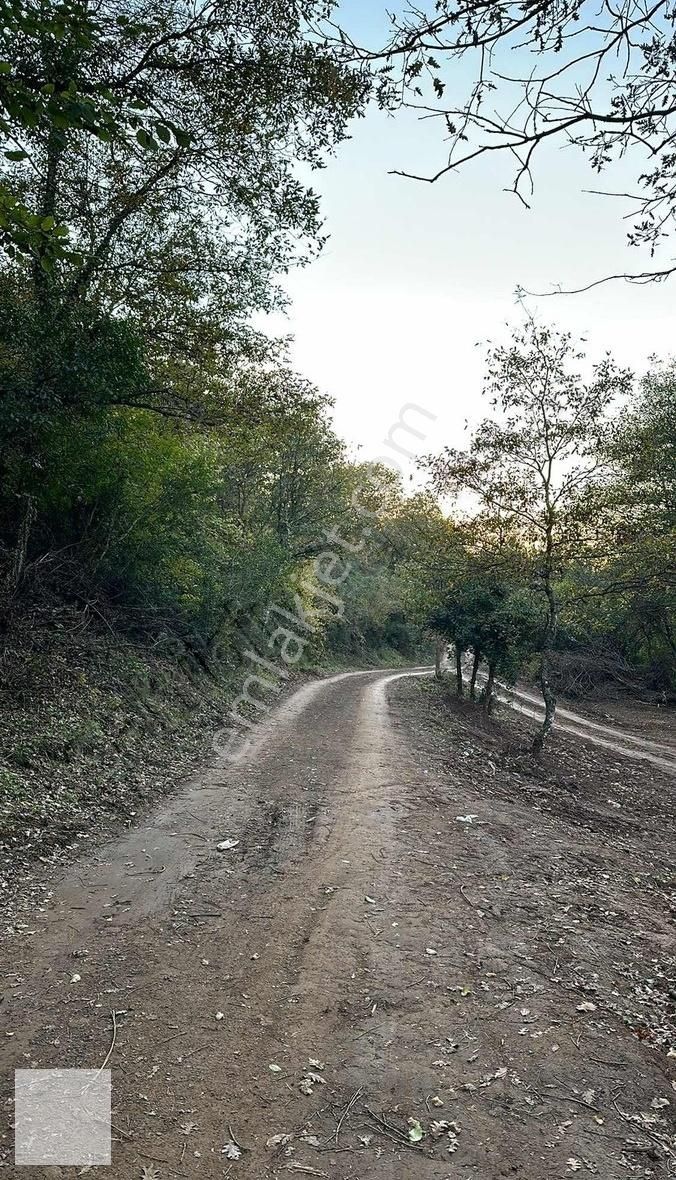 Gebze Ovacık Köyü Satılık Ahşap Ev - Görsel 9