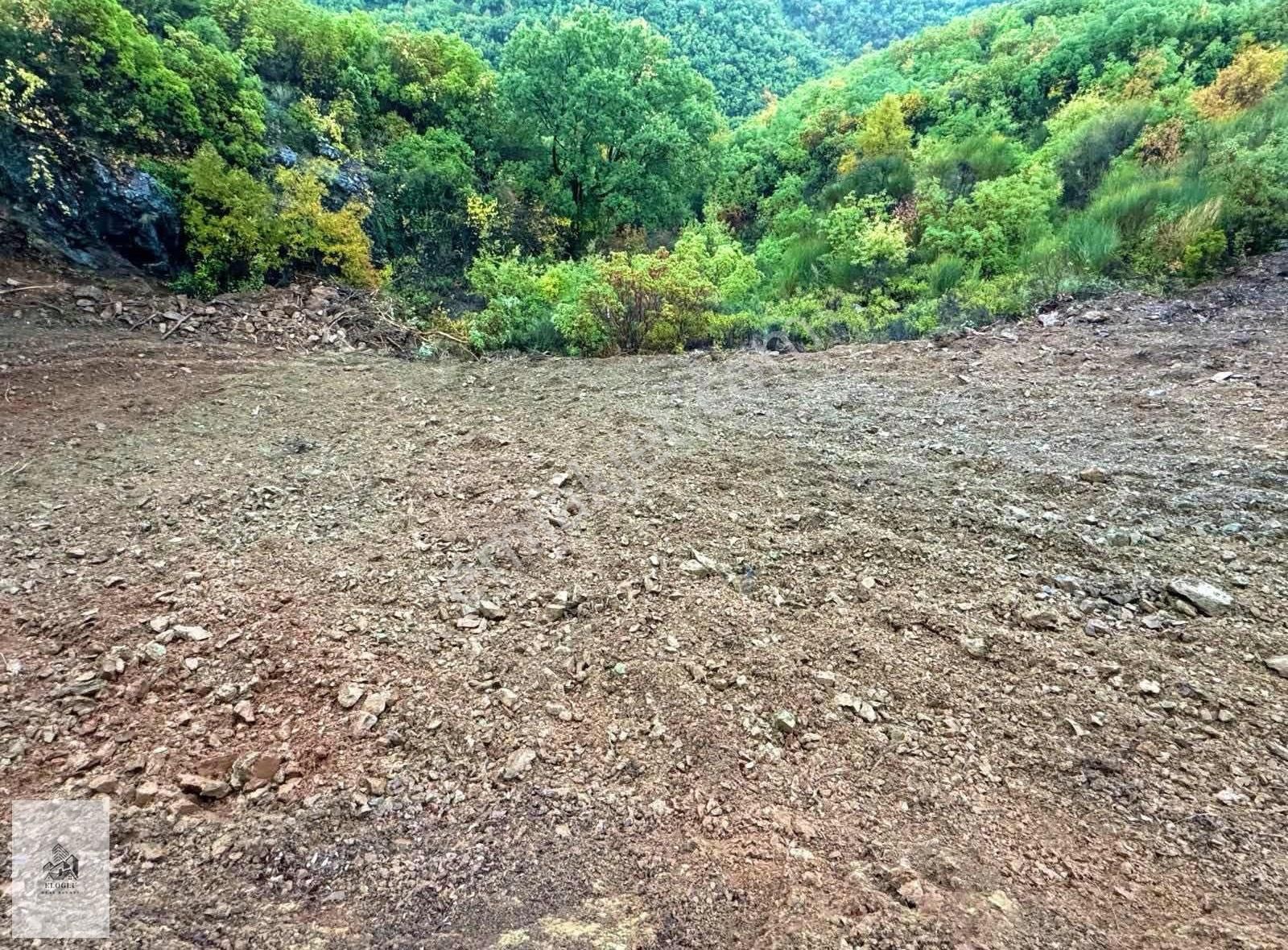 Orhan Mahallesinde Satılık 2.015 M Tarla