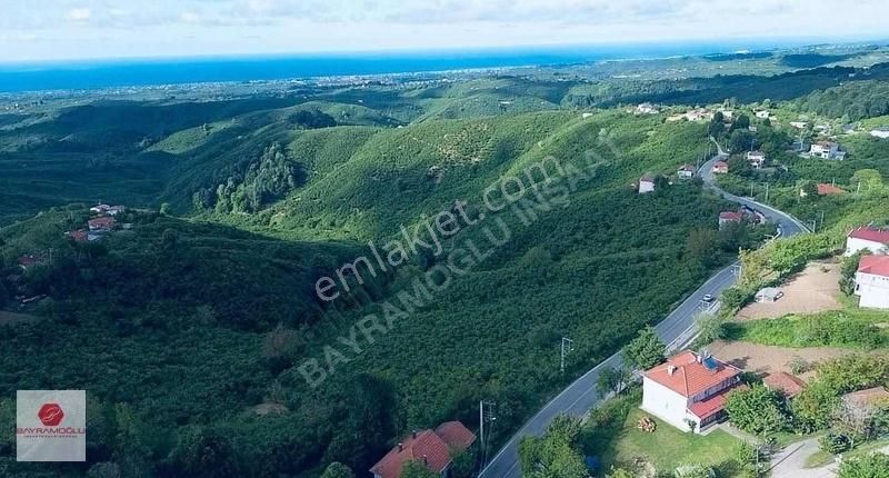 Kuyumcullu Mahallesinde Satılık Fındıklık