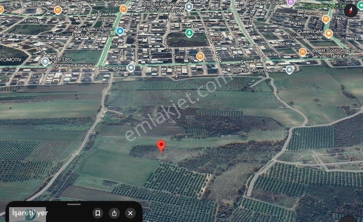 Yunuselinde İmar Sınırı Yatırımlık 20 Dönüm Satılık Kıymetli Ara - Görsel 2