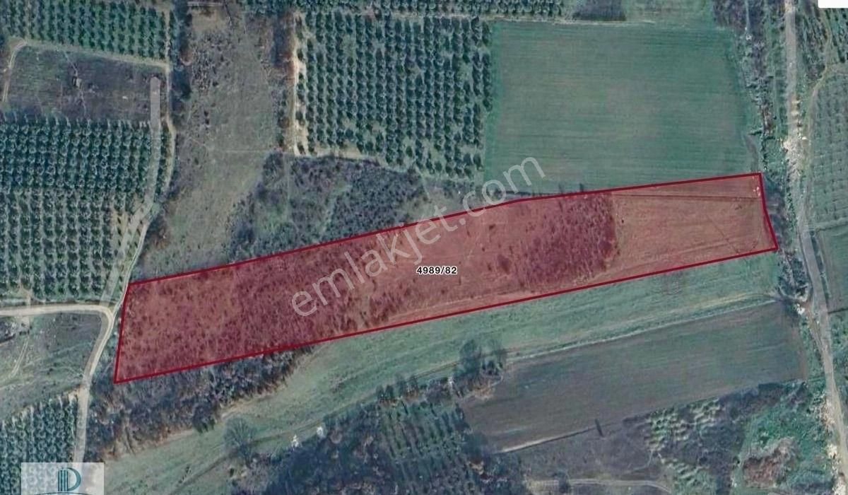 Yunuselinde İmar Sınırı Yatırımlık 20 Dönüm Satılık Kıymetli Ara - Görsel 6