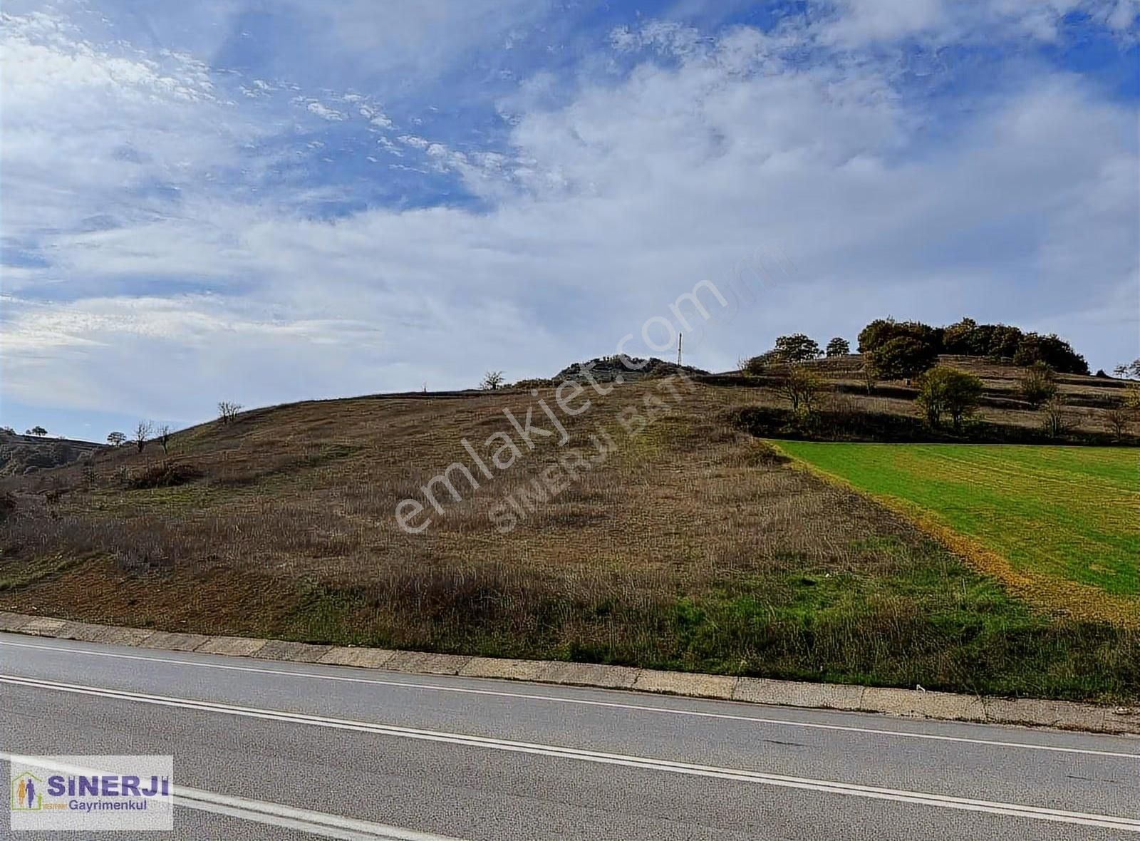 İznik Derbent Te Ana Yola Cephe Satılık 4792 M2 Kıymetli Arazi - Görsel 9