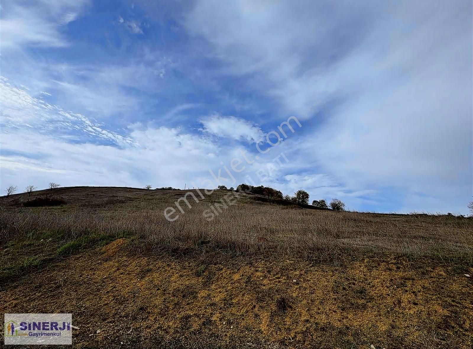 İznik Derbent Te Ana Yola Cephe Satılık 4792 M2 Kıymetli Arazi - Görsel 2