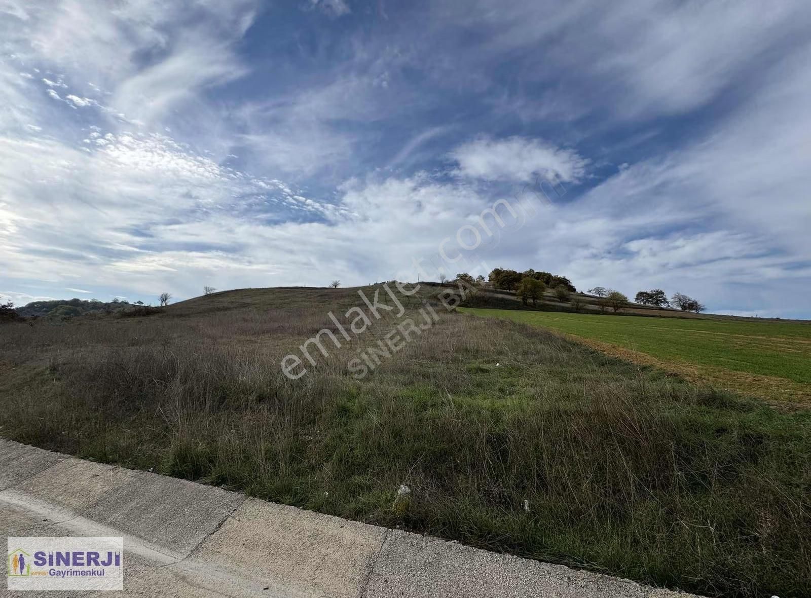 İznik Derbent Te Ana Yola Cephe Satılık 4792 M2 Kıymetli Arazi - Görsel 4