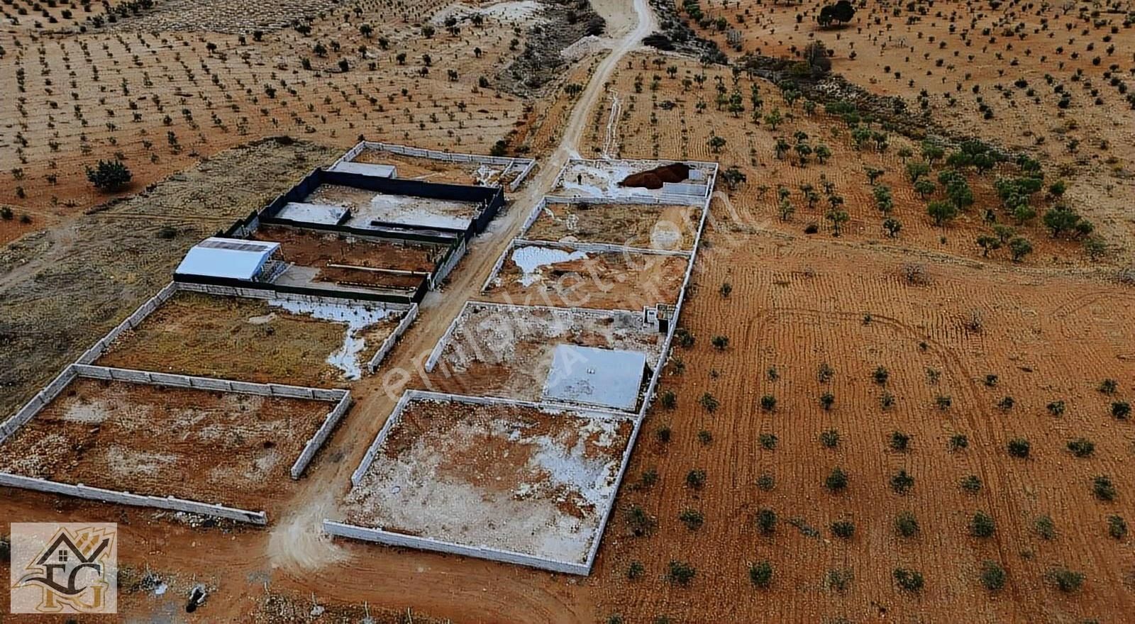 Oğuzeli Subaşı 600 Metrekare Bağevlik Arazi