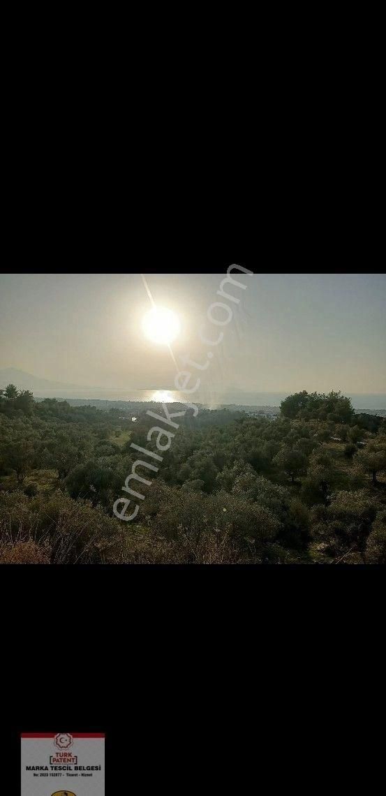 Satılık Villa İmarlı - Görsel 3