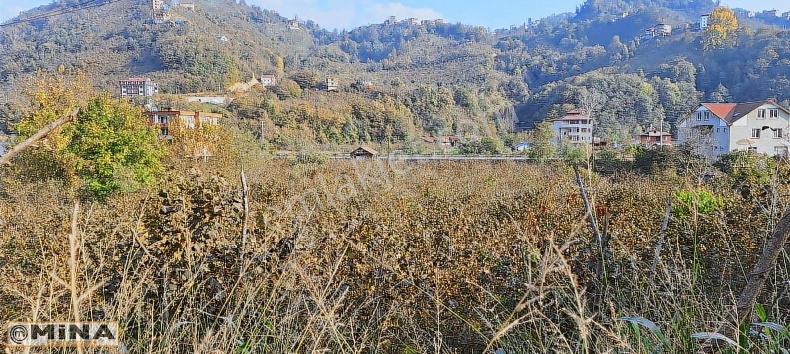 Kiralık Arsa...6900 M2 Fırsat..kupon Yer... - Görsel 8