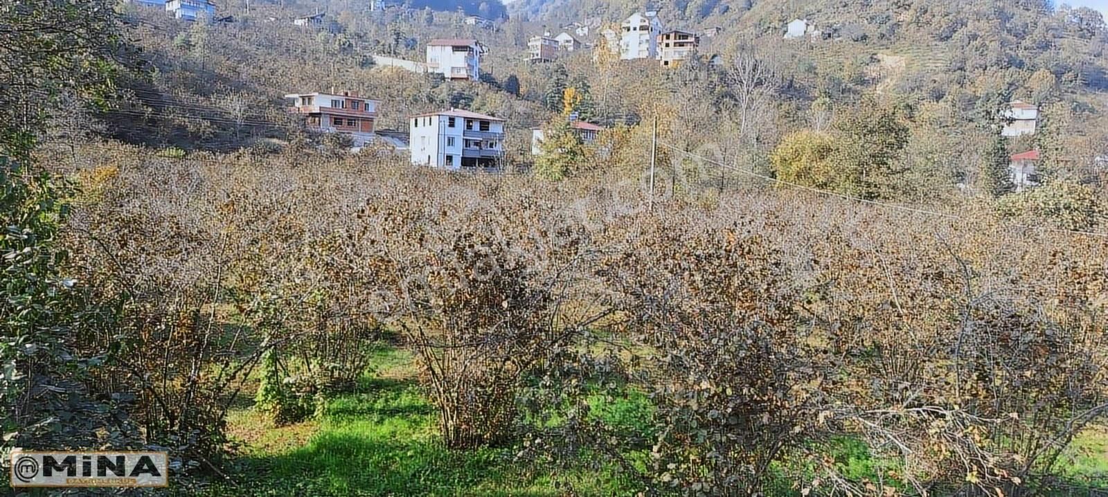 Kiralık Arsa...6900 M2 Fırsat..kupon Yer... - Görsel 3