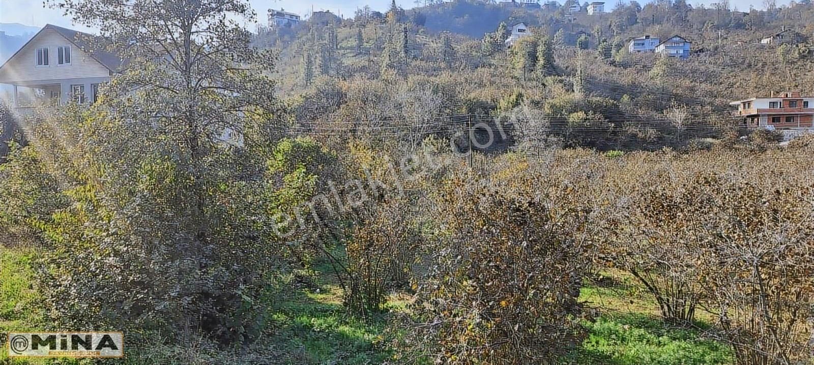 Kiralık Arsa...6900 M2 Fırsat..kupon Yer... - Görsel 11