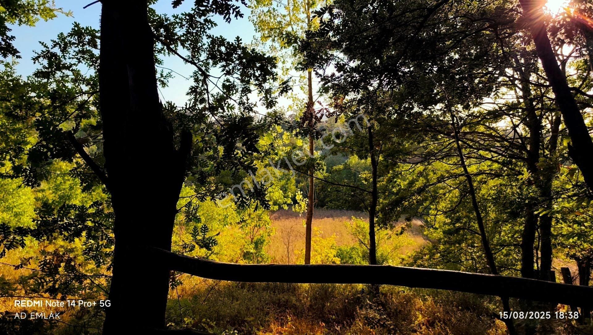 5194 M2 Kadastrol Yola Cephe , Suyu Olan 1 Dönümü Cevizlik Köye Yakın, Eskiyayla Köyü Çan Çanakkale - Görsel 19