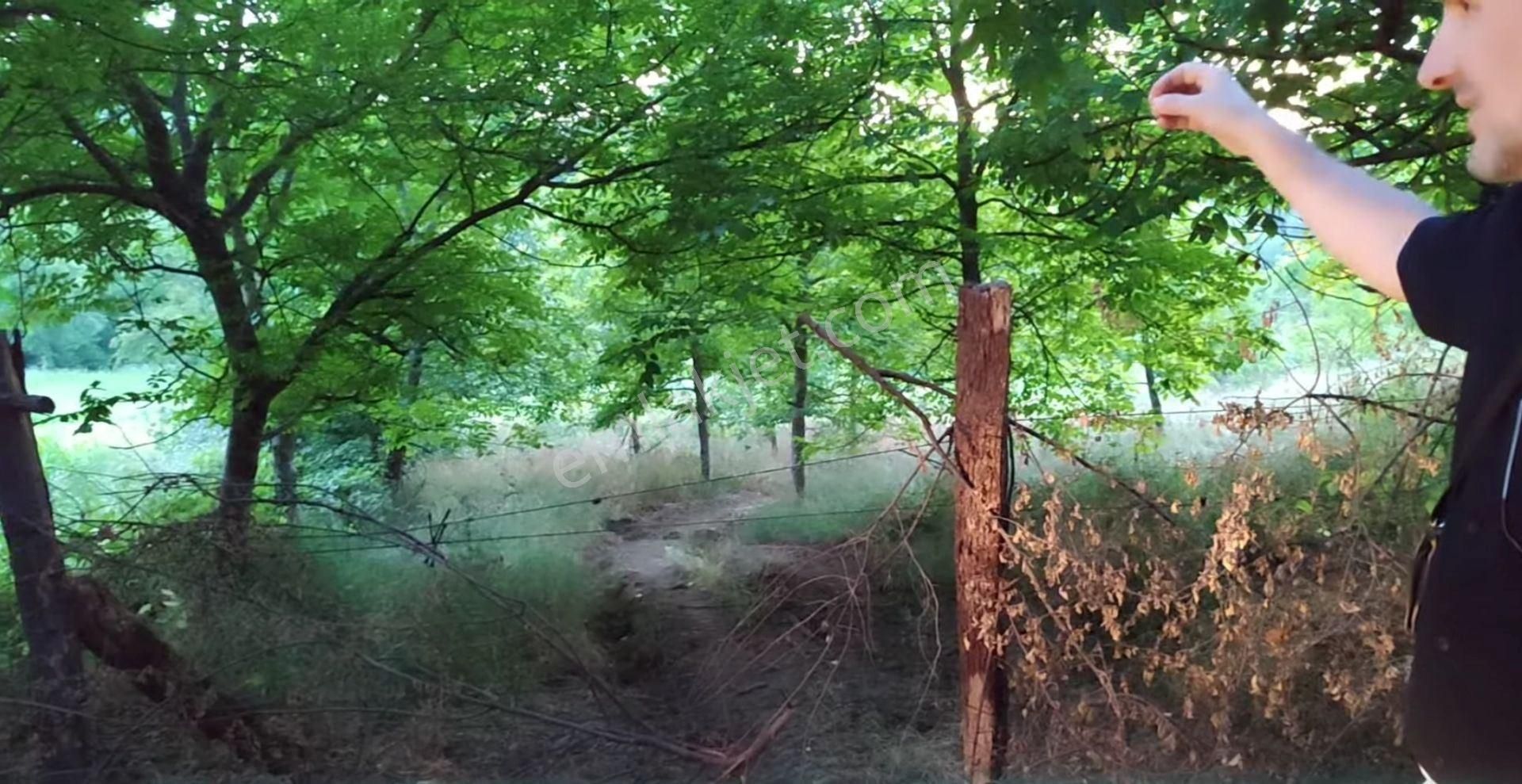 5194 M2 Kadastrol Yola Cephe , Suyu Olan 1 Dönümü Cevizlik Köye Yakın, Eskiyayla Köyü Çan Çanakkale - Görsel 6