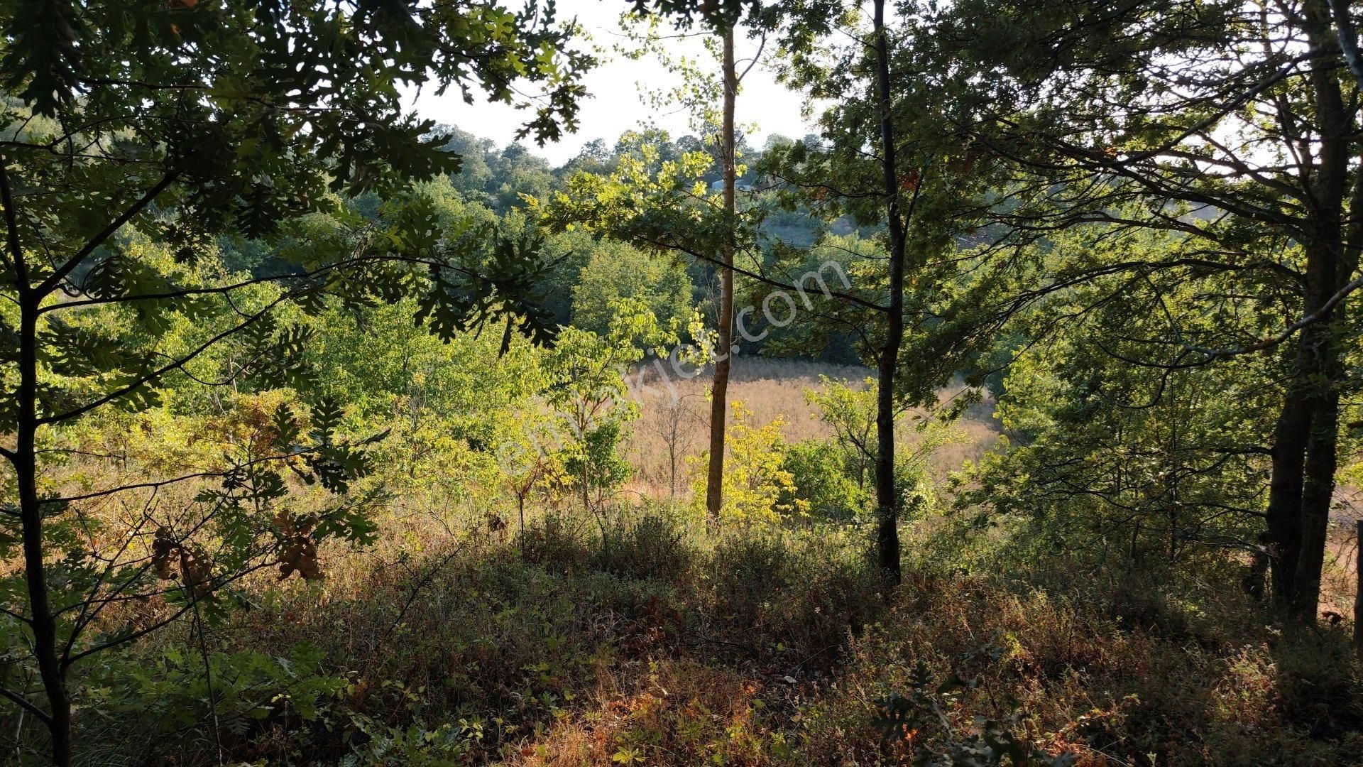 5194 M2 Kadastrol Yola Cephe , Suyu Olan 1 Dönümü Cevizlik Köye Yakın, Eskiyayla Köyü Çan Çanakkale - Görsel 20