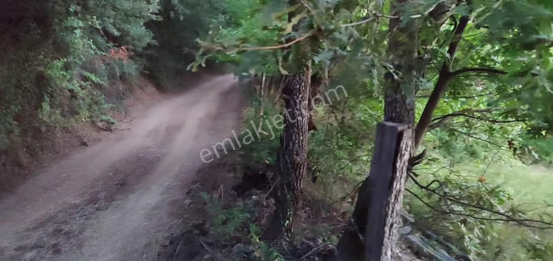 5194 M2 Kadastrol Yola Cephe , Suyu Olan 1 Dönümü Cevizlik Köye Yakın, Eskiyayla Köyü Çan Çanakkale - Görsel 7