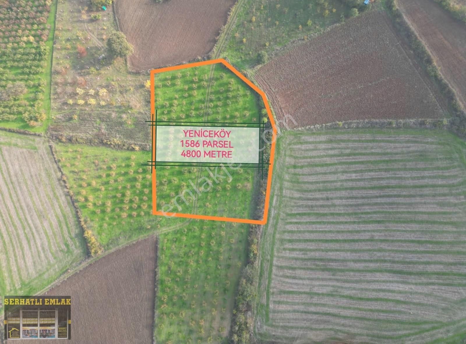 Serhatlı'dan Yeniceköy'de 4800 M2 Meyve Mahçesi - Görsel 5