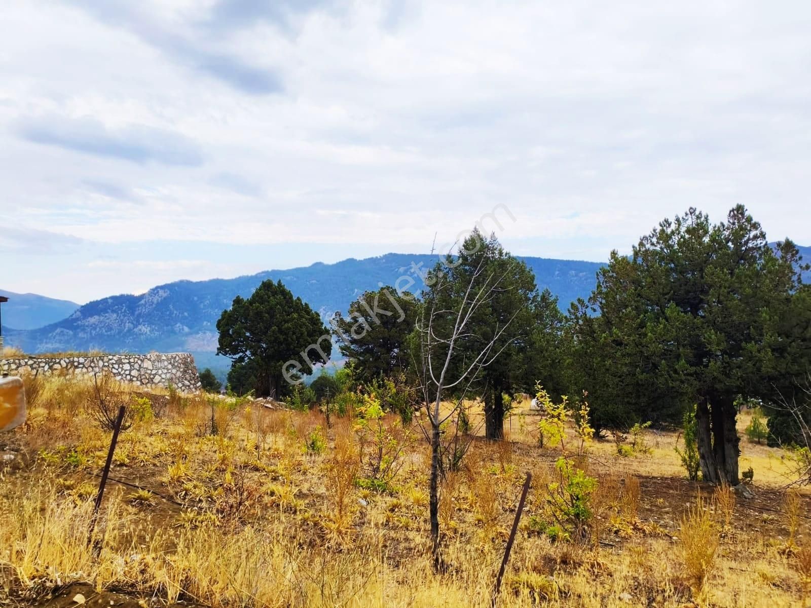 Kar Emlaktan Fındıklı Yaylasıında 880 Metrekare Satılık Arsa - Görsel 20