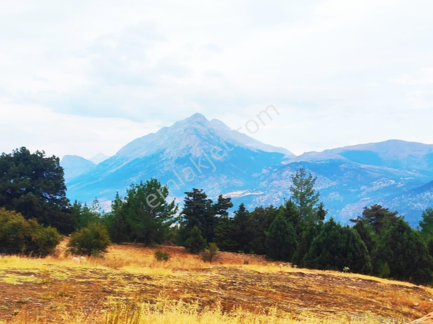 Kar Emlaktan Fındıklı Yaylasıında 880 Metrekare Satılık Arsa - Görsel 5