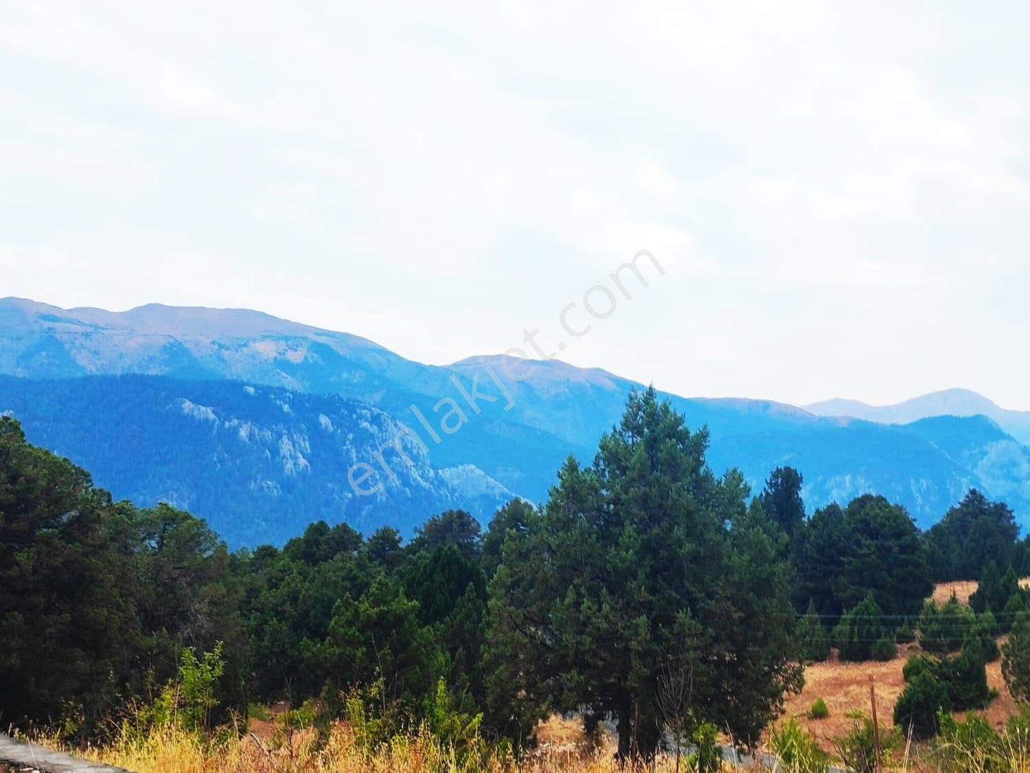 Kar Emlaktan Fındıklı Yaylasıında 880 Metrekare Satılık Arsa - Görsel 12