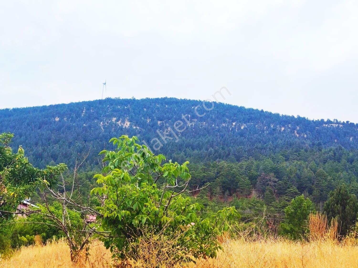 Kar Emlaktan Fındıklı Yaylasıında 880 Metrekare Satılık Arsa - Görsel 31