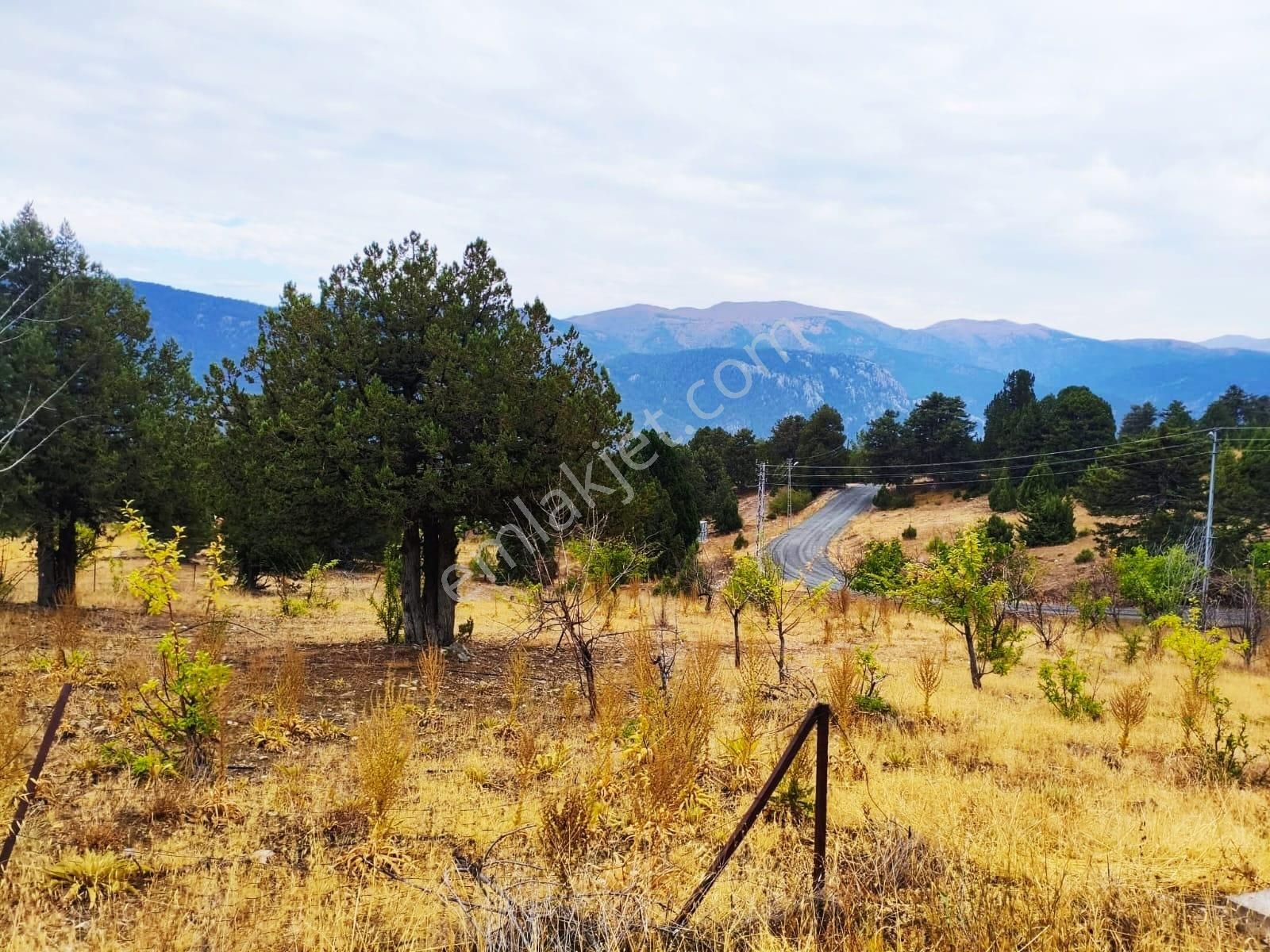 Kar Emlaktan Fındıklı Yaylasıında 880 Metrekare Satılık Arsa - Görsel 21