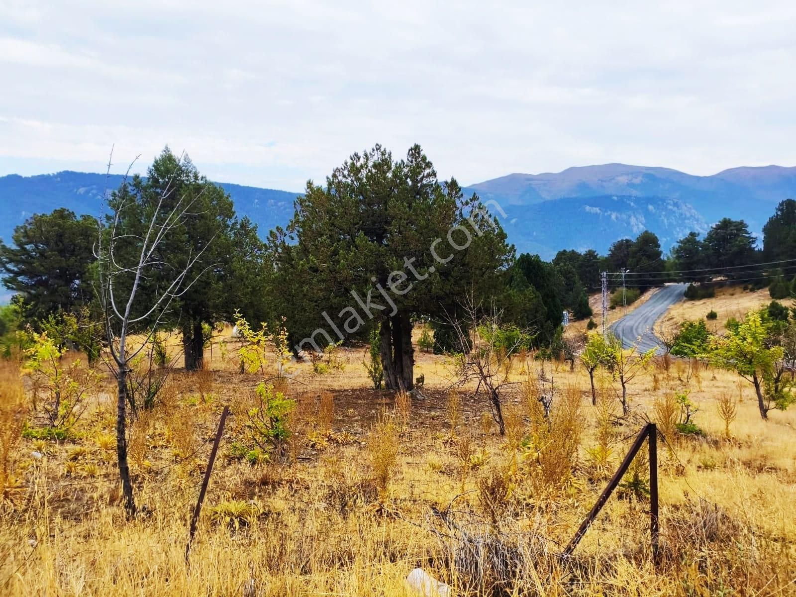 Kar Emlaktan Fındıklı Yaylasıında 880 Metrekare Satılık Arsa - Görsel 26