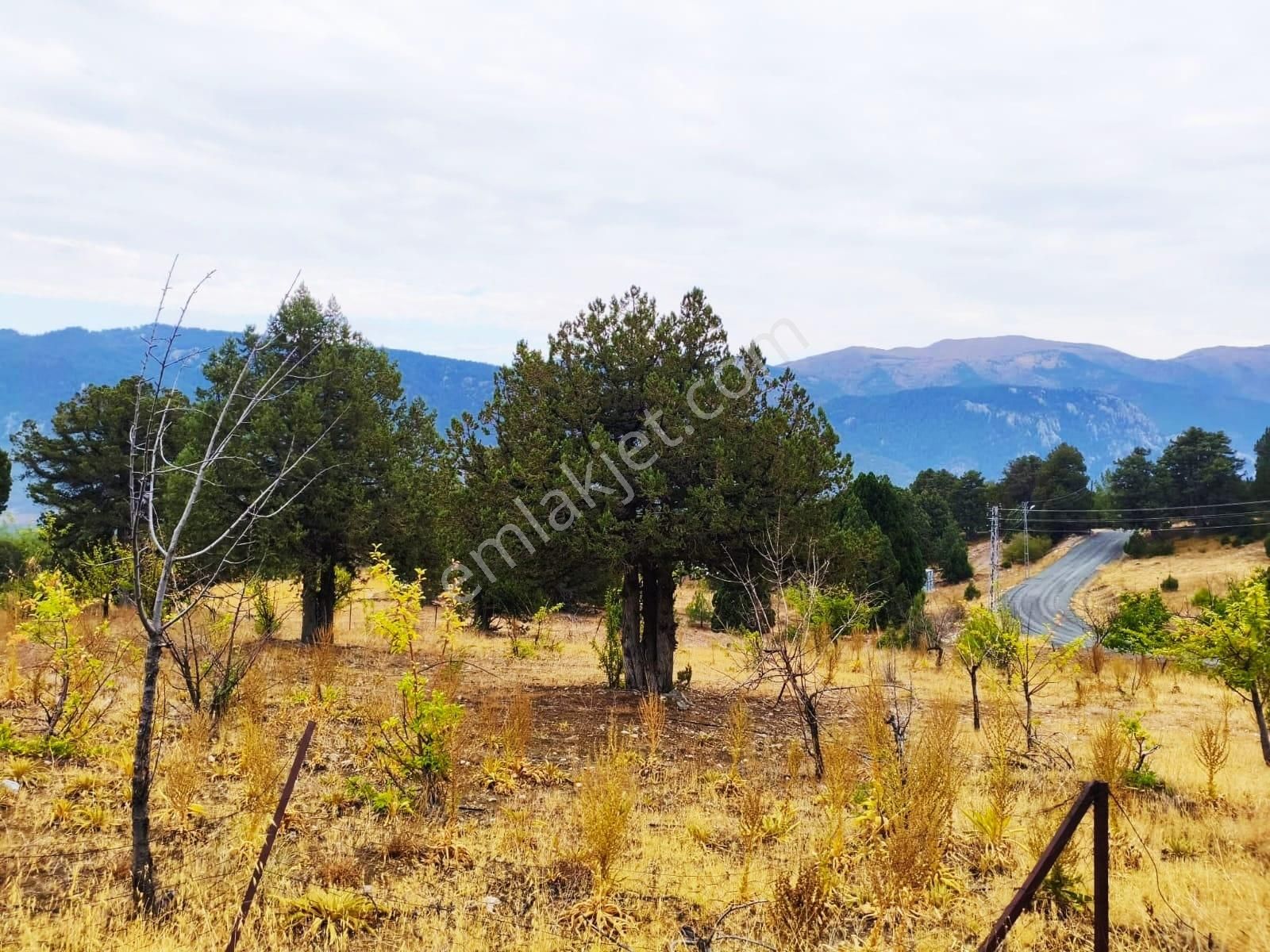 Kar Emlaktan Fındıklı Yaylasıında 880 Metrekare Satılık Arsa - Görsel 33