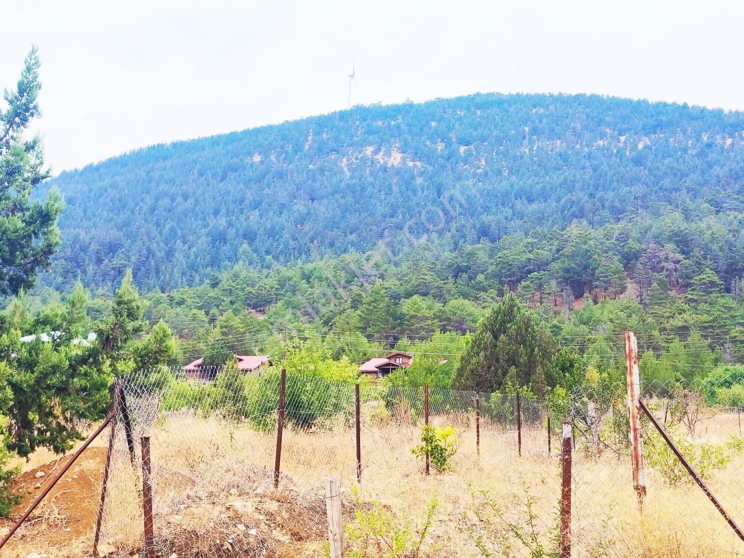 Kar Emlaktan Fındıklı Yaylasıında 880 Metrekare Satılık Arsa - Görsel 6