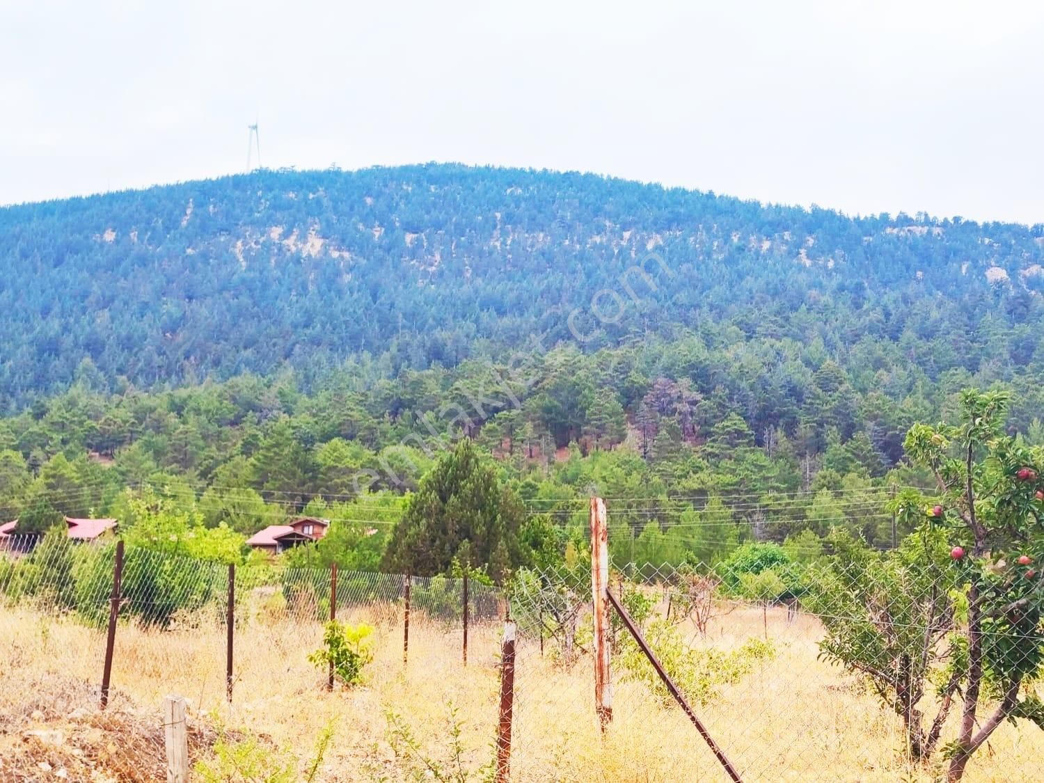 Kar Emlaktan Fındıklı Yaylasıında 880 Metrekare Satılık Arsa - Görsel 3