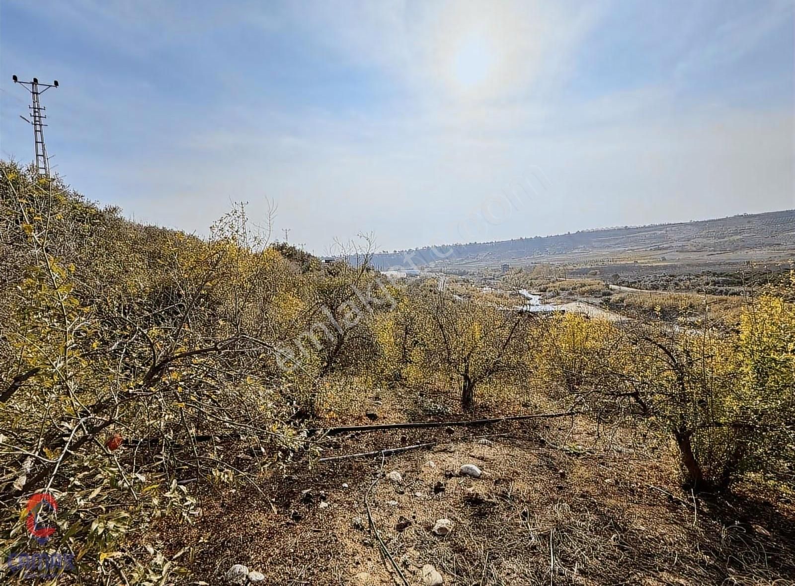 Çavak Yolu Üzerinde | Asfalt Yola 66 M Cepheli | 4.000 M² Tarla - Görsel 2