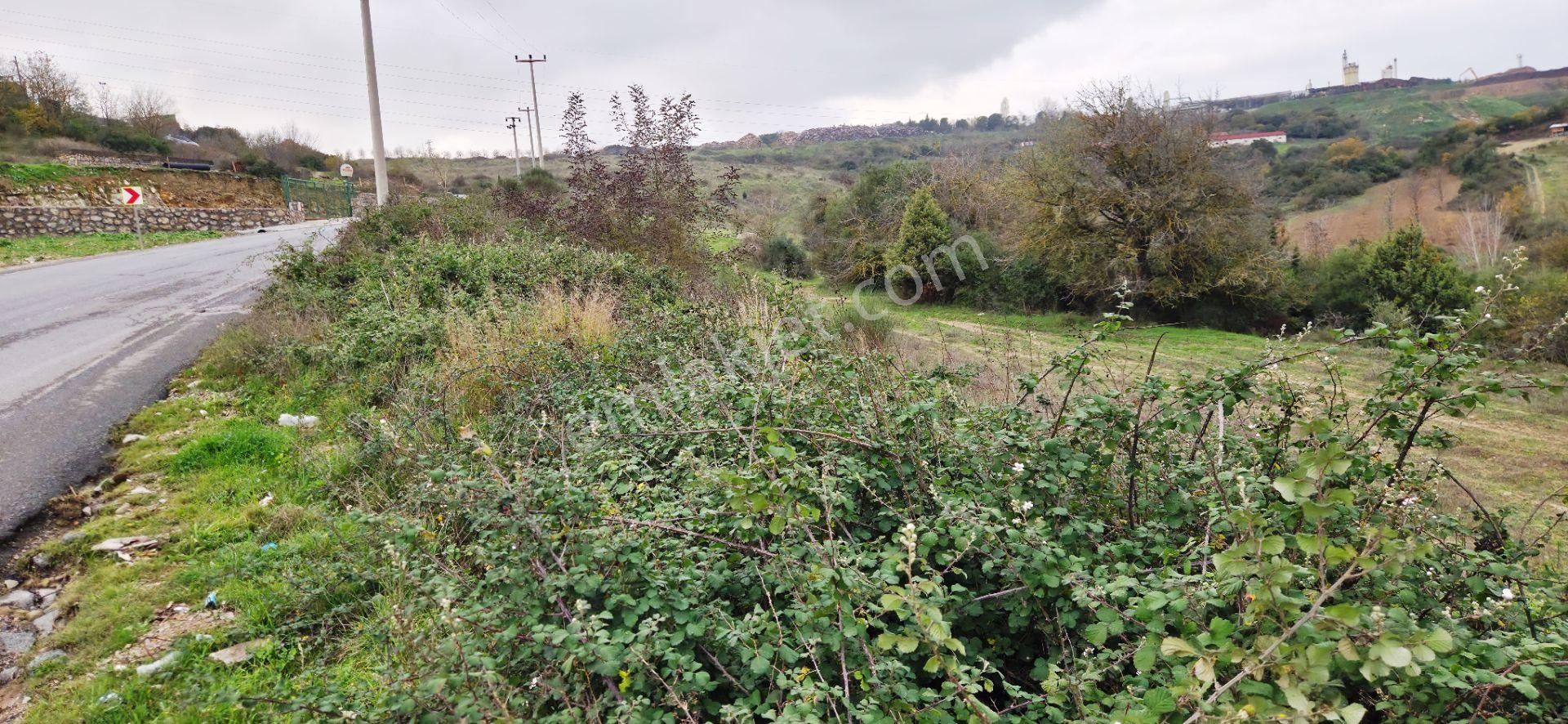 Gebze Tavşanlı 7.250m2 Caddeye Cephe Her İşe Uygun Kiralık Arsa - Görsel 8