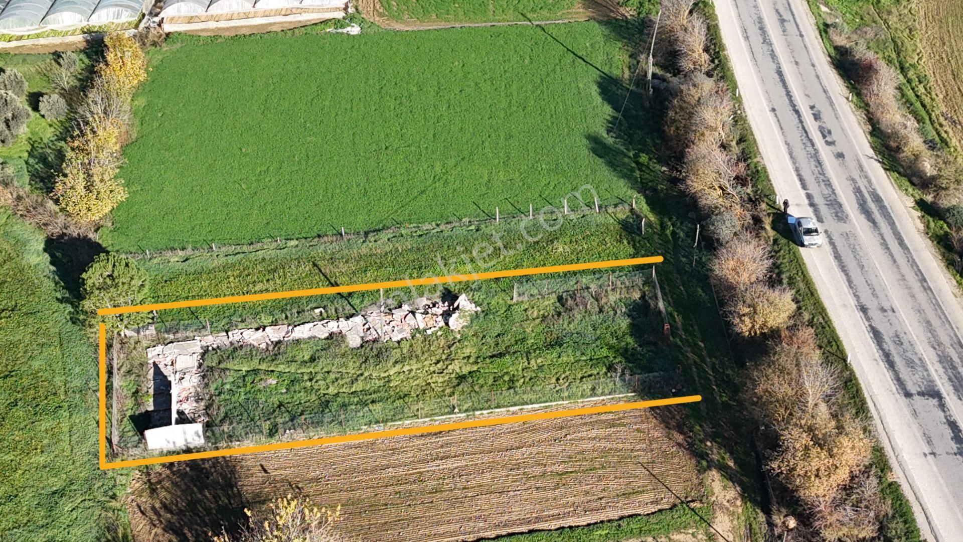 İzmir Menderes Kuşadası Yolu Üzerinde 650 M2 Hisse Tapulu Tarla - Görsel 11