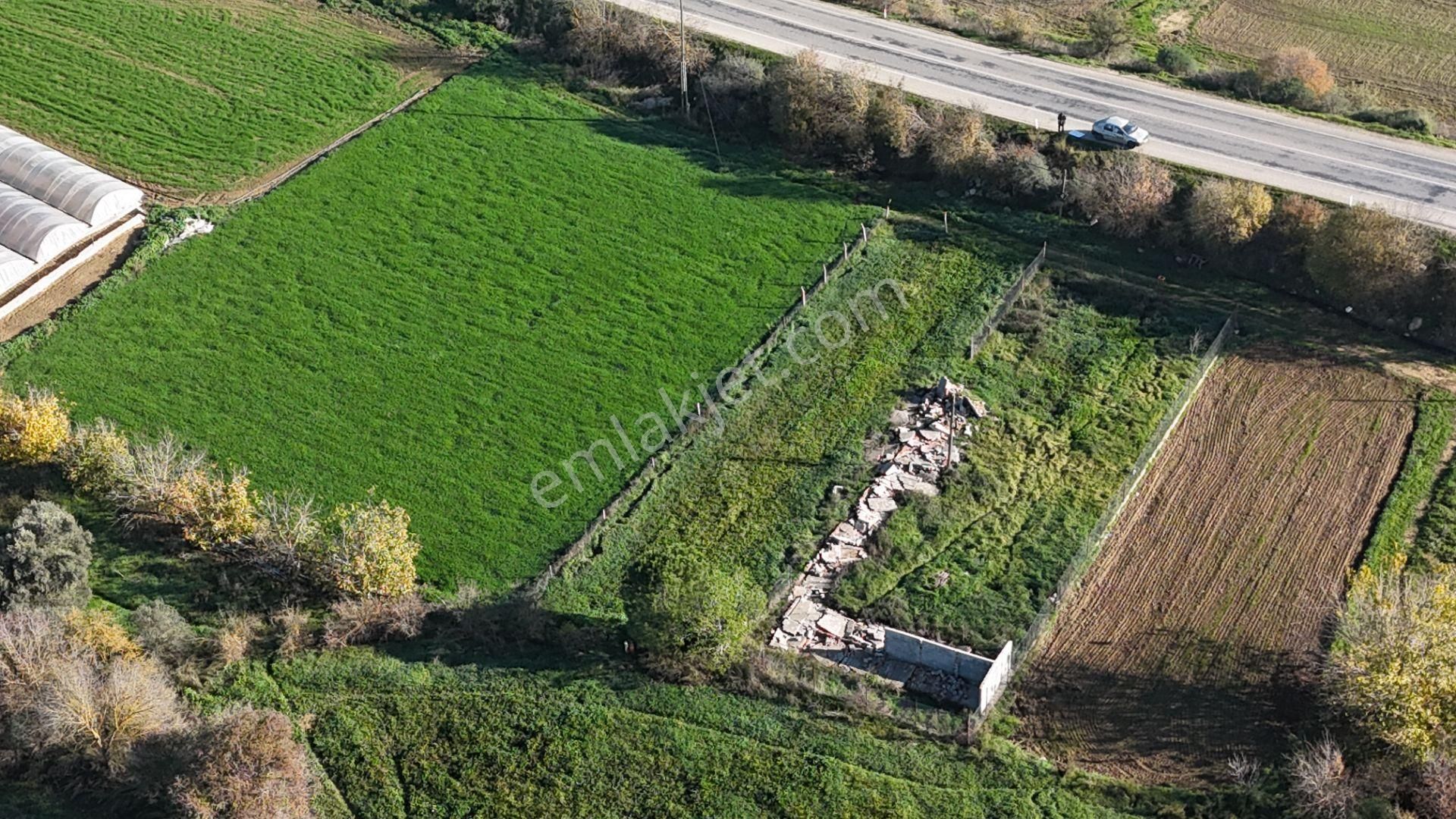 İzmir Menderes Kuşadası Yolu Üzerinde 650 M2 Hisse Tapulu Tarla - Görsel 9