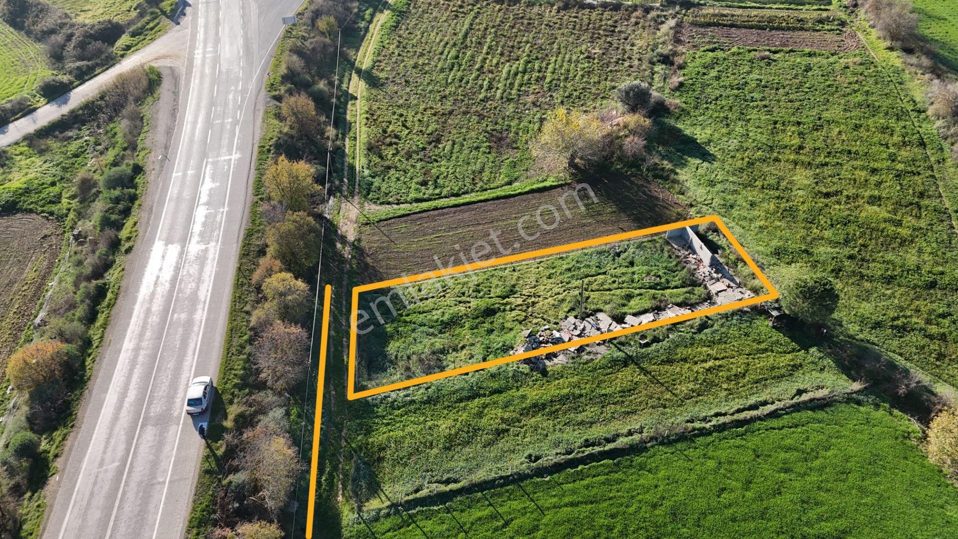 İzmir Menderes Kuşadası Yolu Üzerinde 650 M2 Hisse Tapulu Tarla