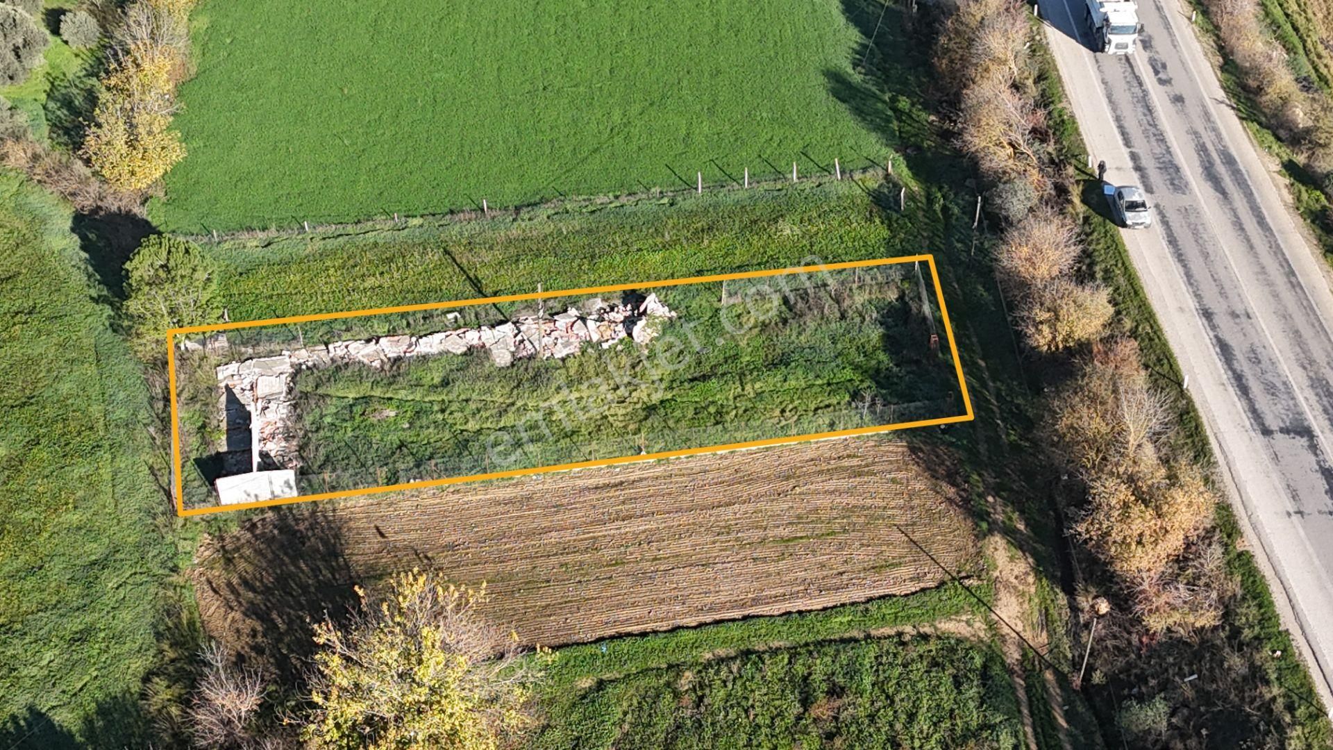 İzmir Menderes Kuşadası Yolu Üzerinde 650 M2 Hisse Tapulu Tarla - Görsel 4