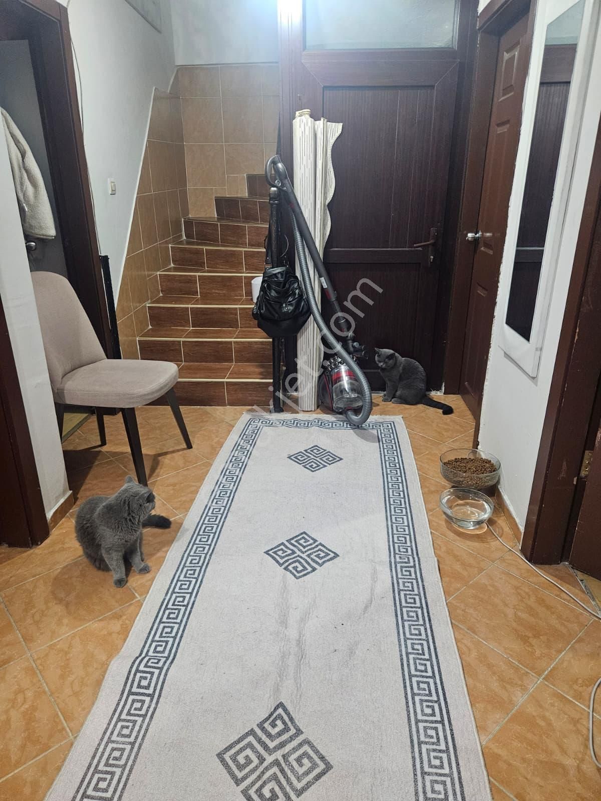 Mç Emlak'tan Pınarbaşı Mah'sınde 5+1 Satılık Daire - Görsel 17