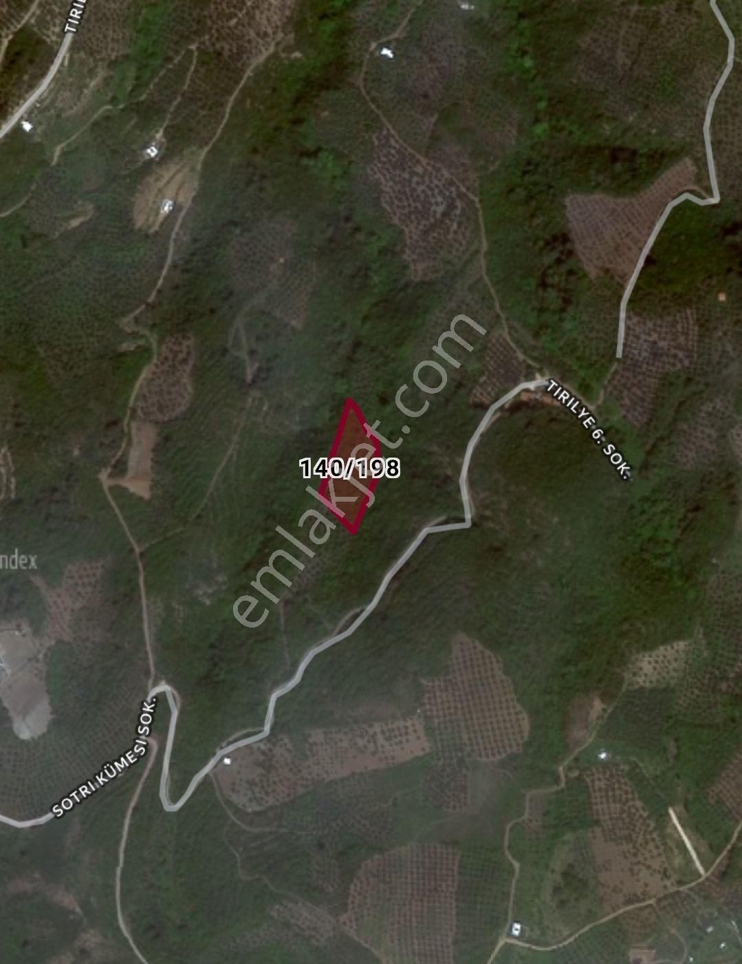 Tirilye'de Tepeden Denizi Ve Tirilye'yi Gören 3.708 M2 Tek Tapulu Satılık Zeytinlik - Görsel 2