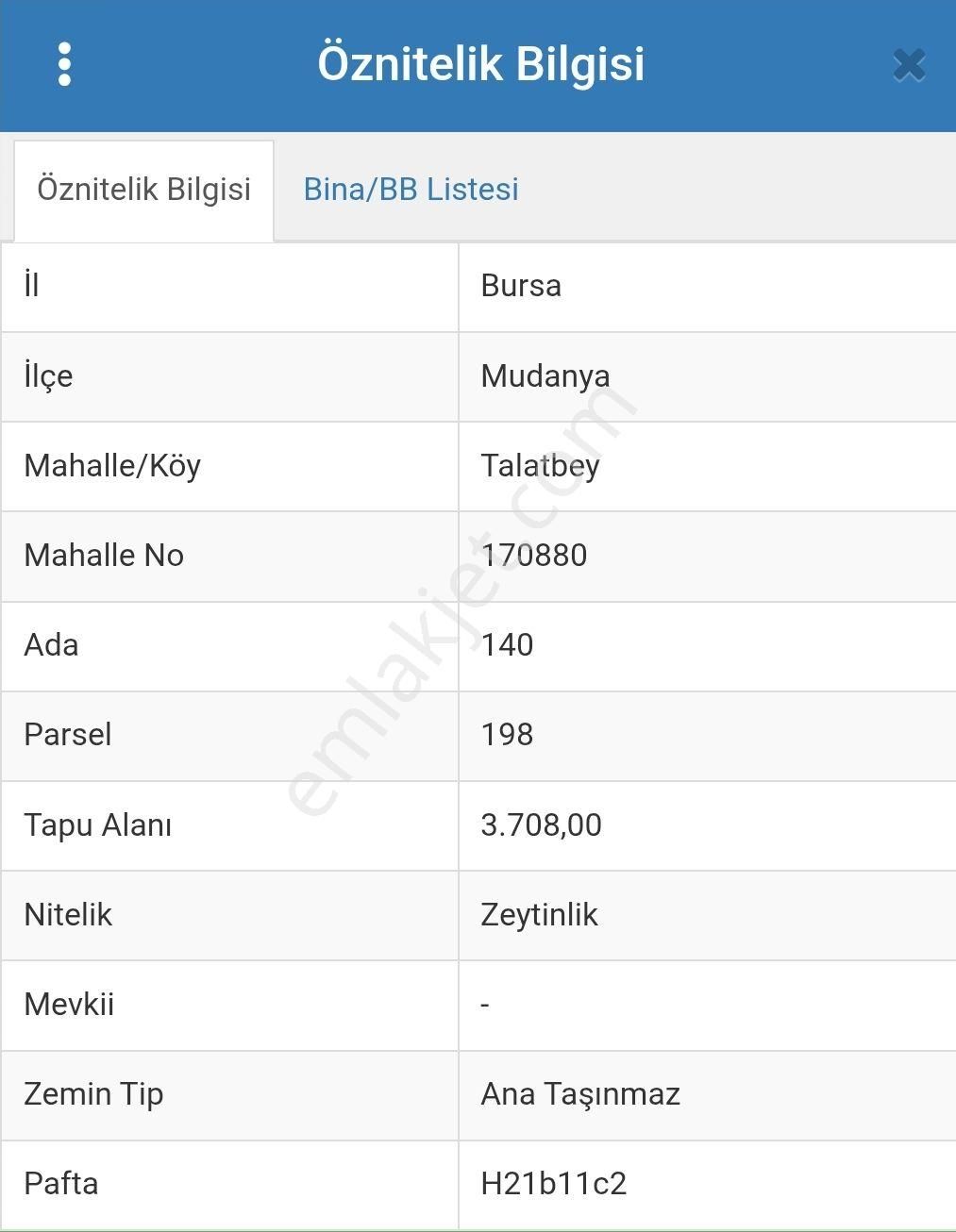 Tirilye'de Tepeden Denizi Ve Tirilye'yi Gören 3.708 M2 Tek Tapulu Satılık Zeytinlik - Görsel 3