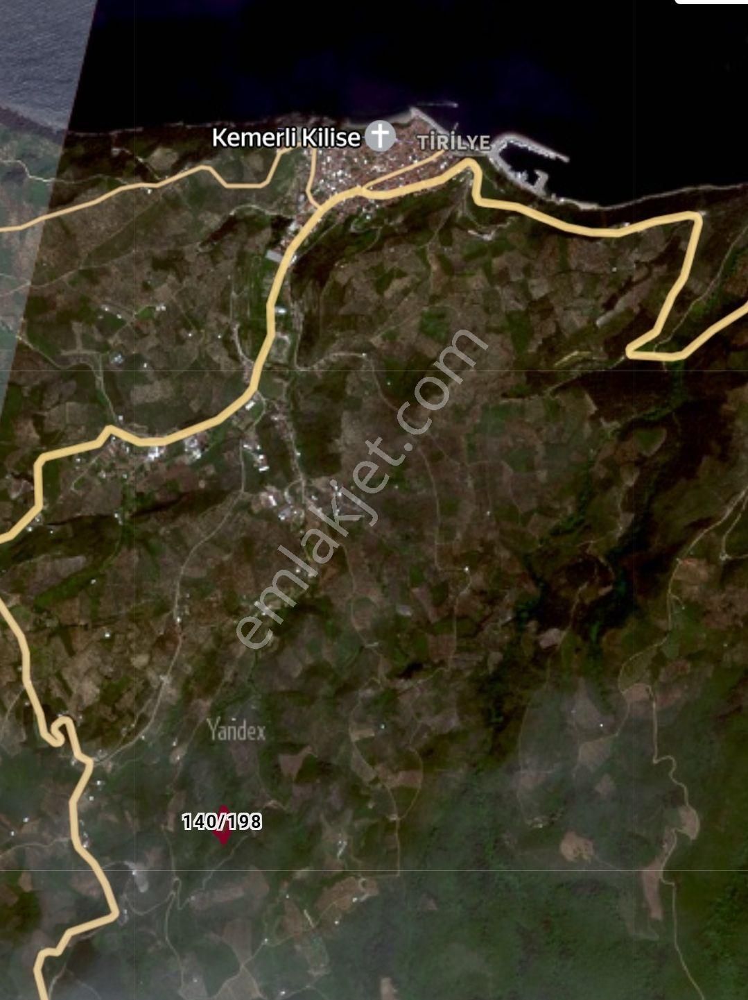 Tirilye'de Tepeden Denizi Ve Tirilye'yi Gören 3.708 M2 Tek Tapulu Satılık Zeytinlik - Görsel 5