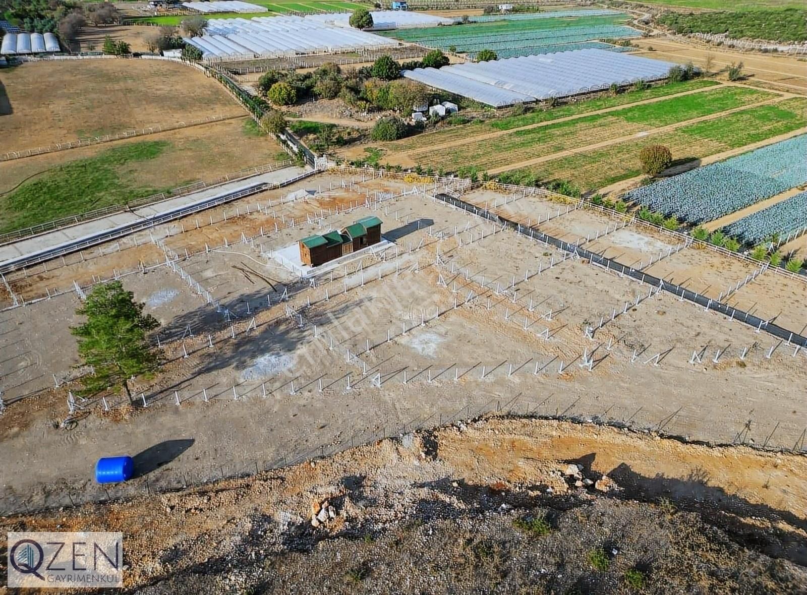 Q'zen Den Resmi Hisse Tapulu Etrafı Cevrili Hazır Tarlalar - Görsel 29
